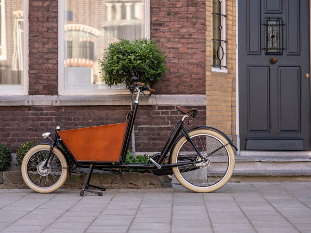 Was sind E-Lastenbikes?