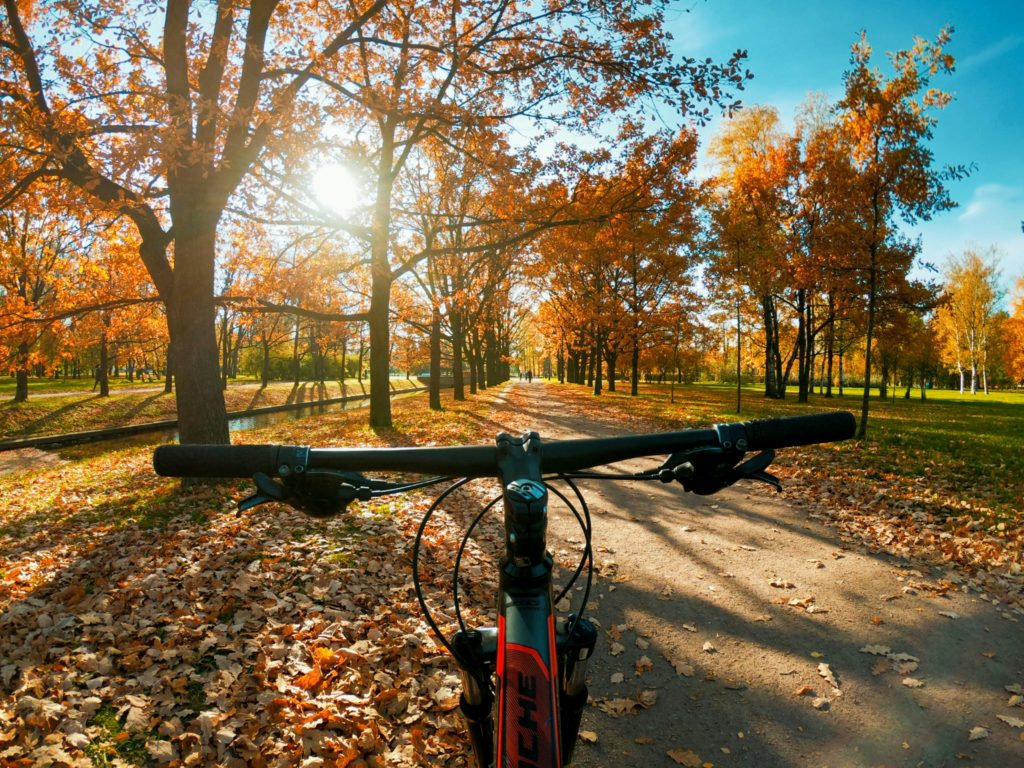 E-Bike Fahren im Herbst: Warum der September ideal ist