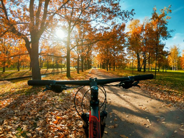 E-Bike Fahren im Herbst: Warum der September ideal ist