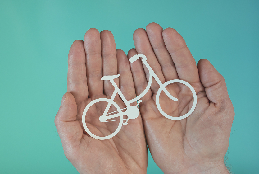 E-Bike Schutz